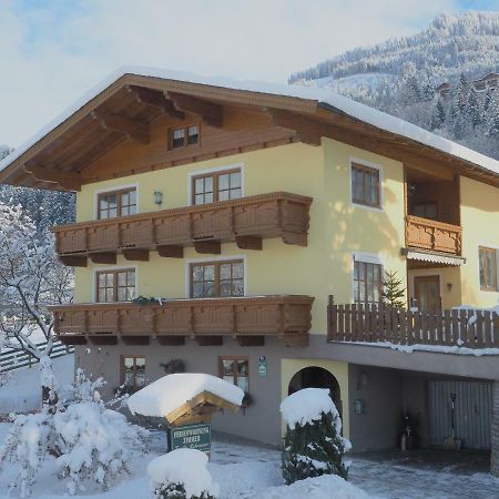 Rohrmoser Appartements Санкт Йохан им Понгау Екстериор снимка